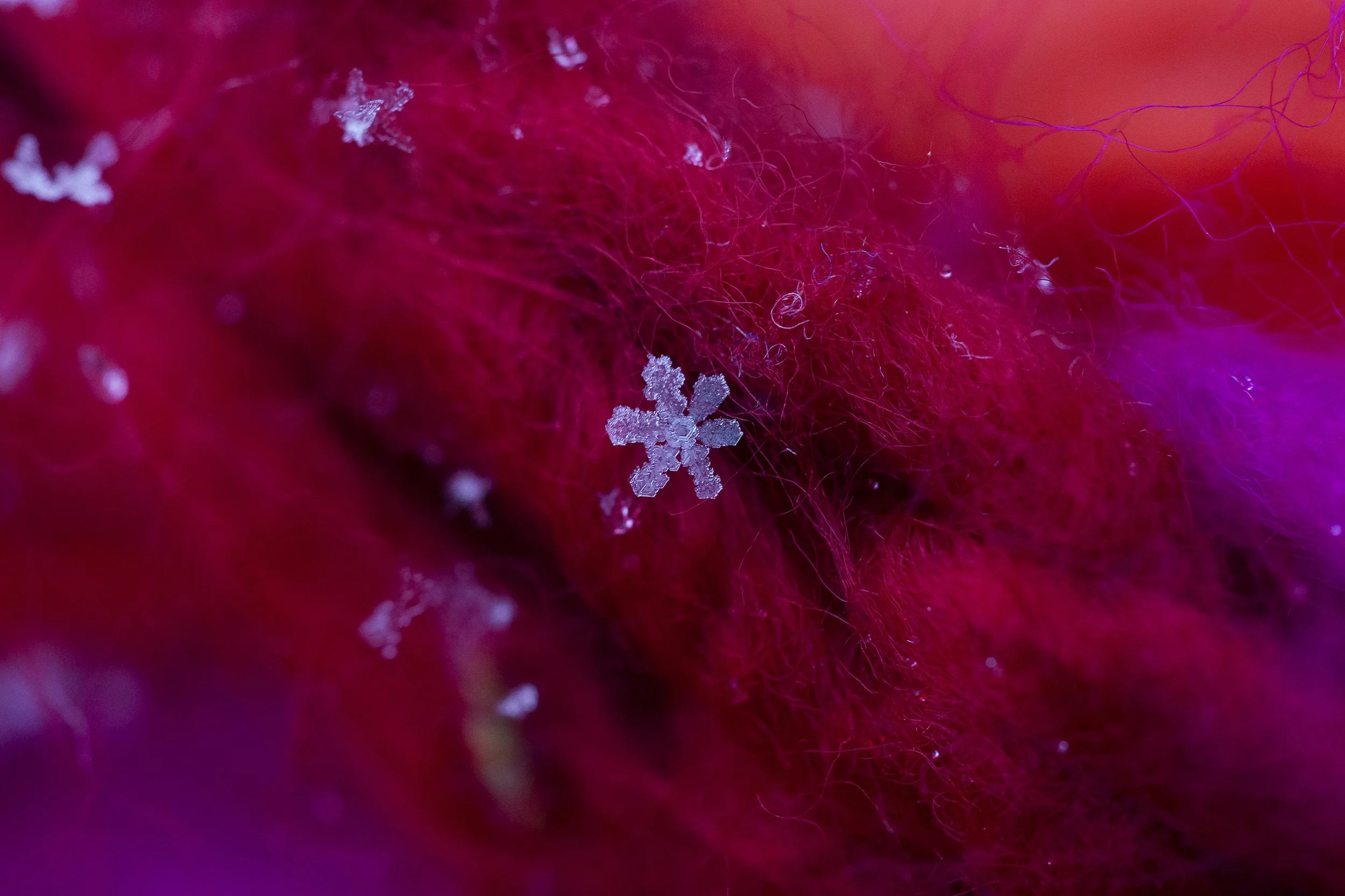 Snowflake on Scarf.jpg