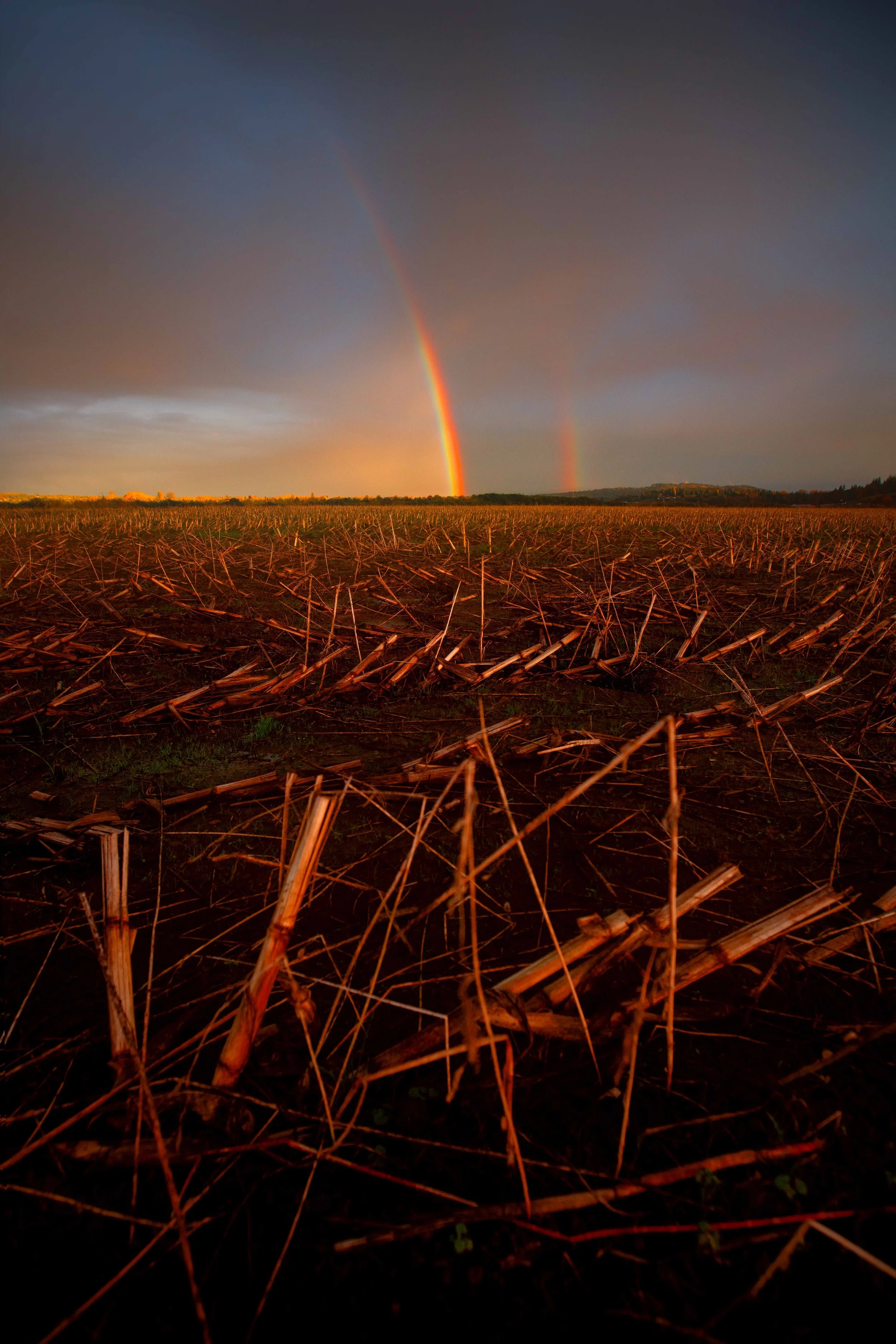 Rainbow with crops websize.jpg