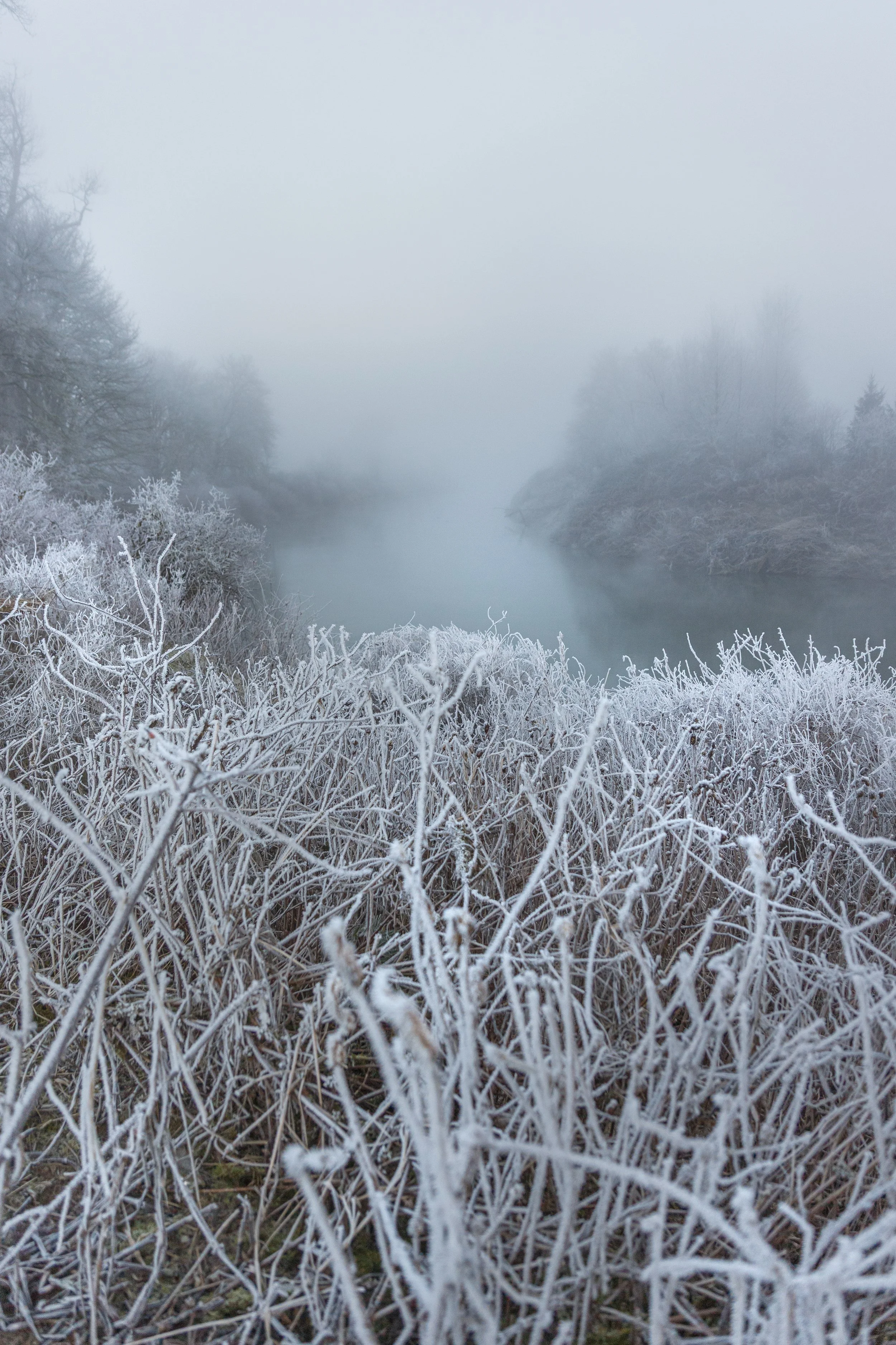 Hoarfrost on Snoqualmie River.jpg