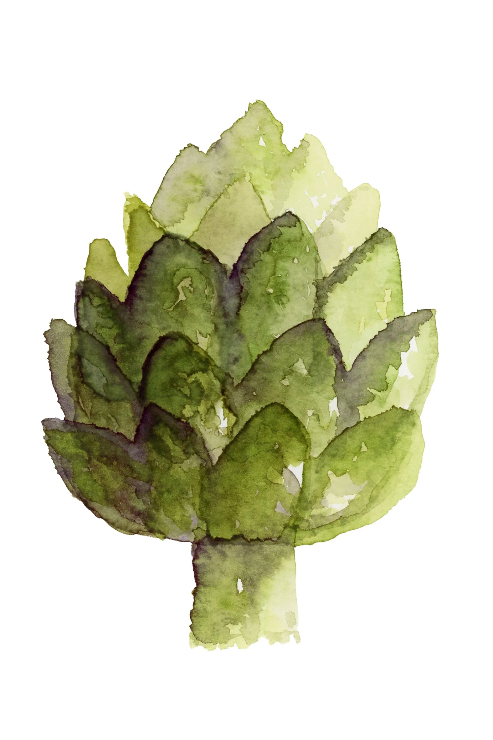 Watercolor Artichoke Print.jpg