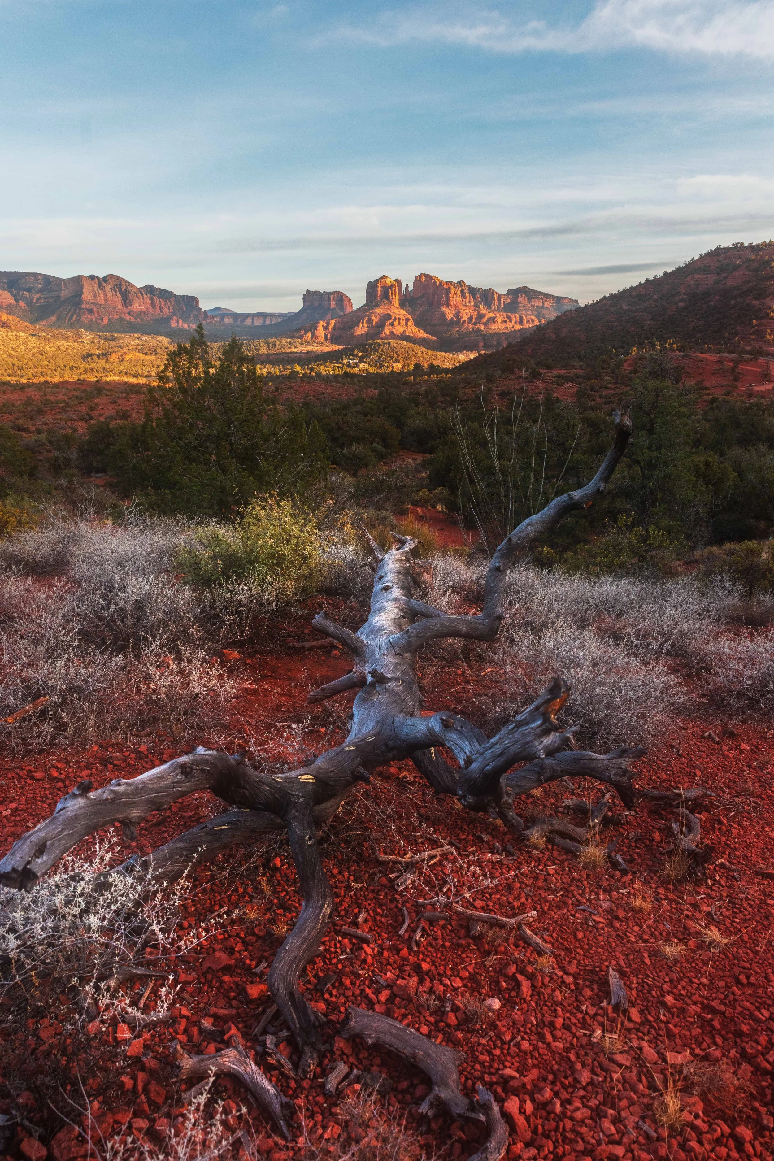 Evening in Sedona Websize.jpg