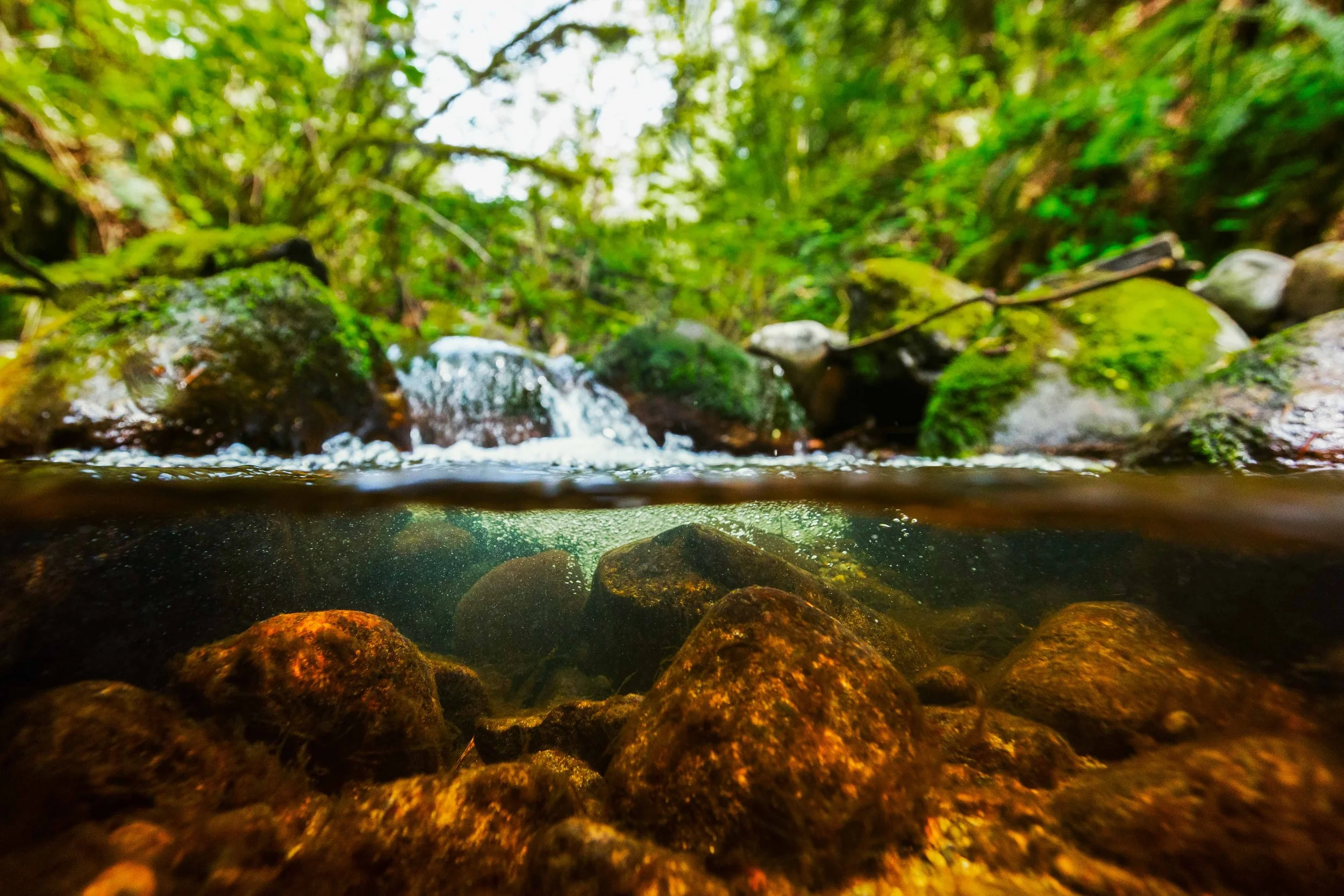 Hideaway Creek Submerged websize.jpg