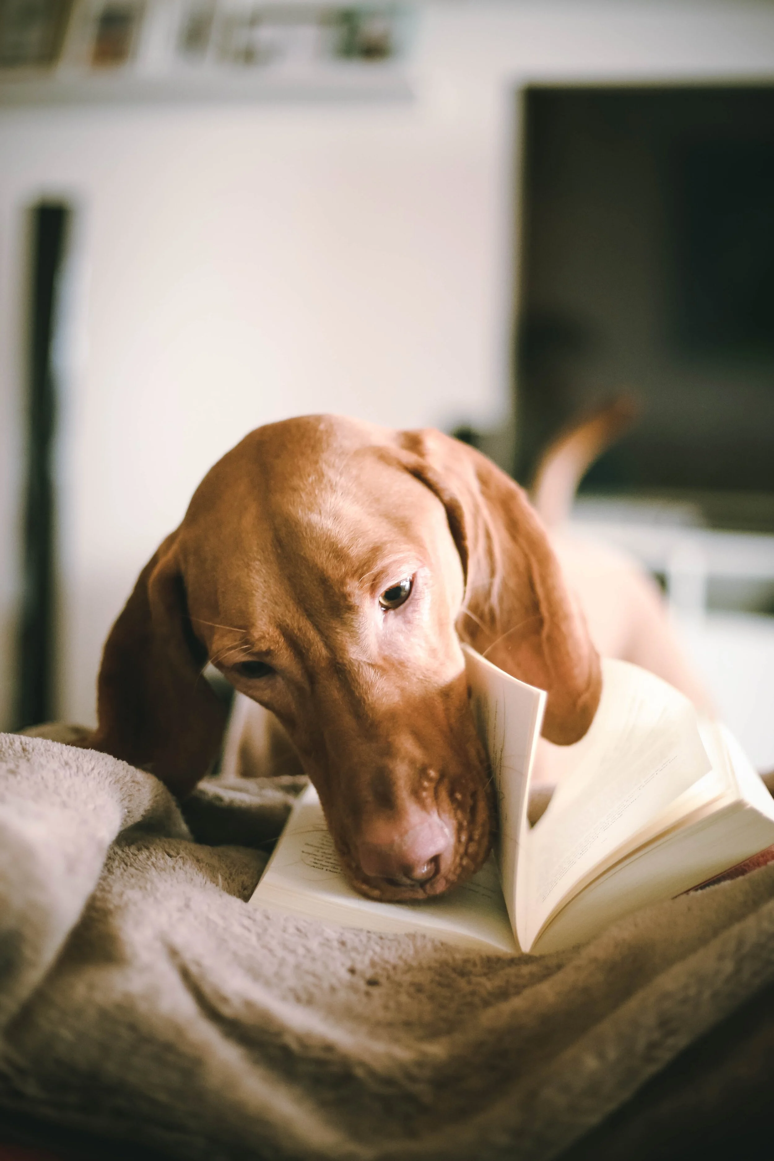2photo-pots-vT9SSvrAncY-unsplash.jpg