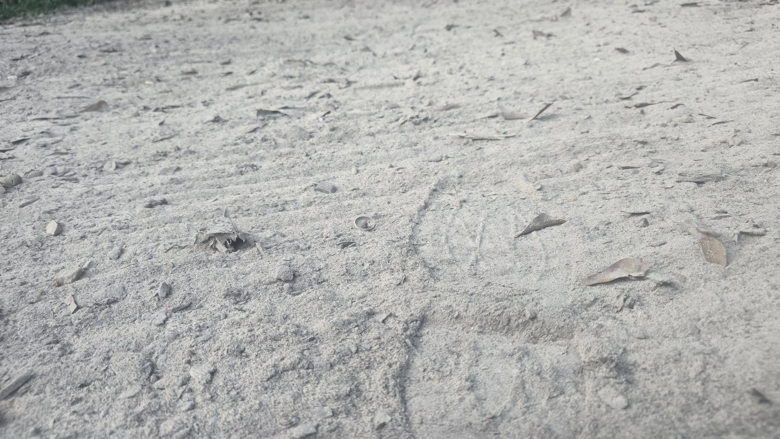 Some Notes on Walking