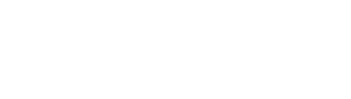 Sorinex Exercise Equipment logo