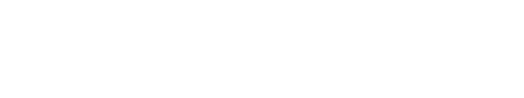 Rome Snowboards logo