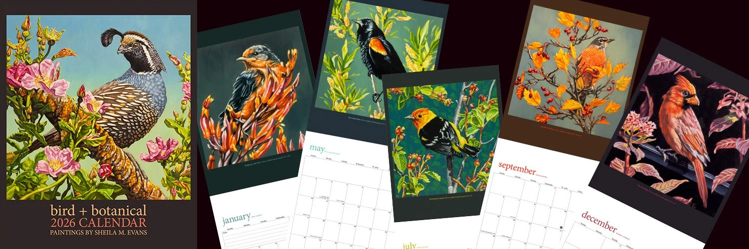 2026 Bird + Botanical Calendar - all original oil paintings, design and layout through completion of print process (self published)