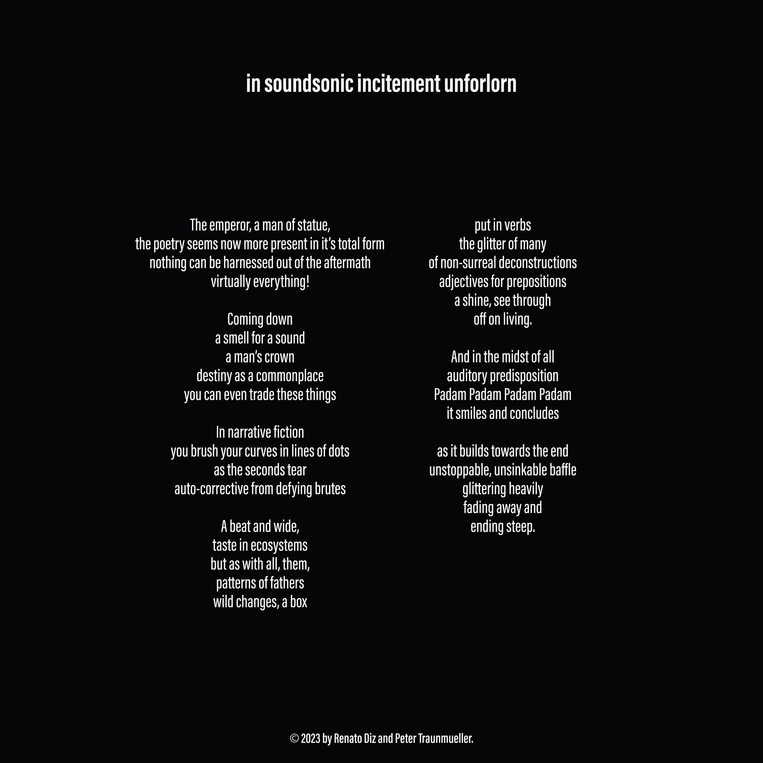 Book_largerfont_in soundsonic incitement unforlorn JPEG.jpg