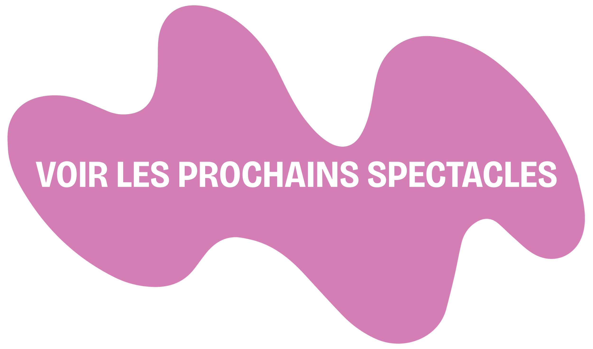 Voir les prochains spectacles
