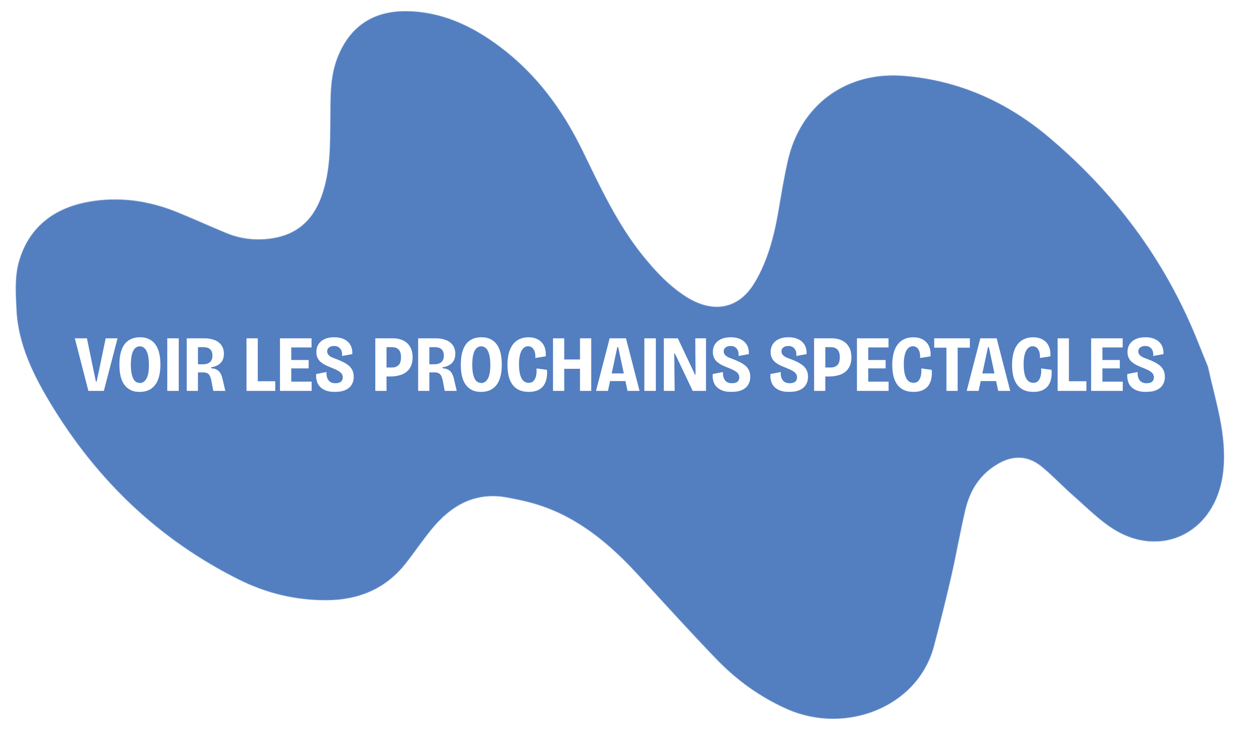 Voir les prochains spectacles