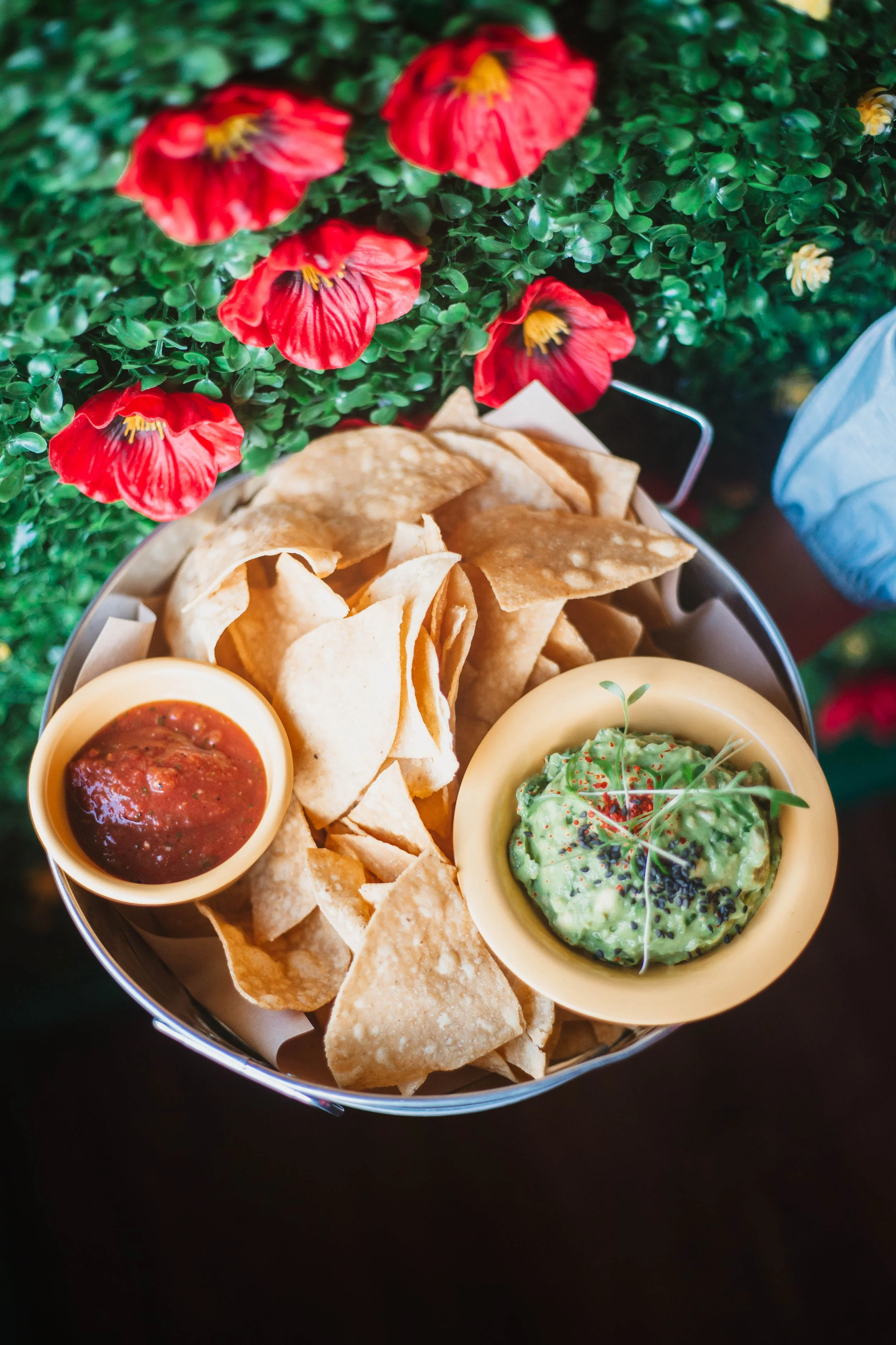 hand-cut tortilla chips, with fire-roasted tomato salsa and guacamole