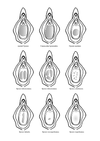 14-things-you-never-knew-about-the-hymenal-ring-feminist-midwife
