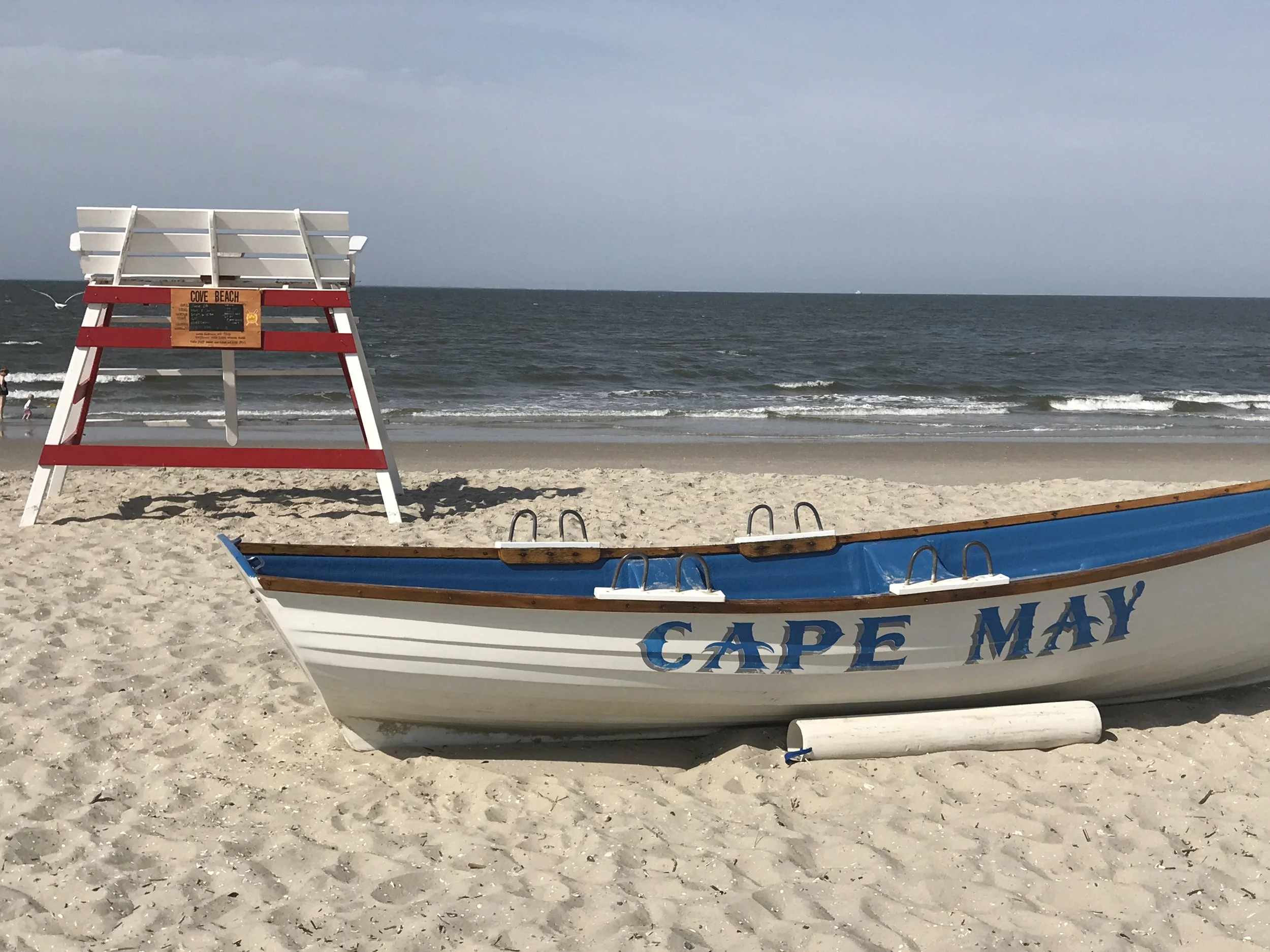 Are Dogs Allowed On The Beach In Cape May