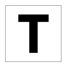 Torrwood Farm - Premier Organic Hemp Farming