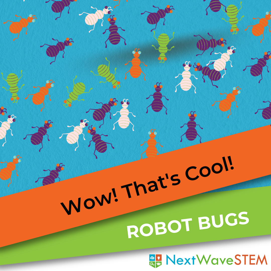 Wow! That's Cool! Robot Bugs!