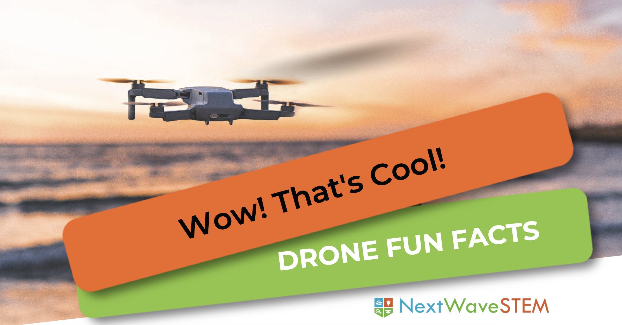 Fun Facts with Drones