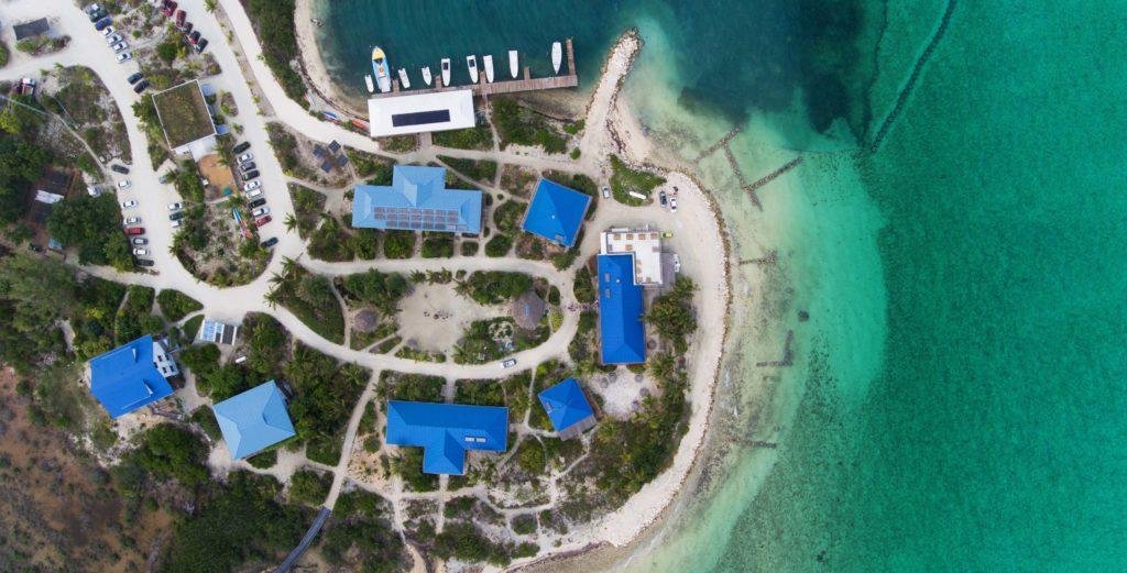 Nextwavestem in hawaii (3).jpeg