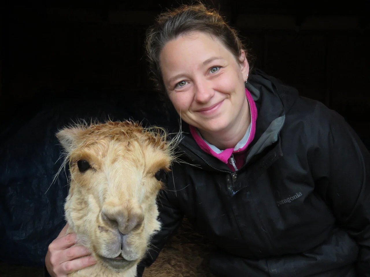 Team 1 — Homer Veterinary Clinic