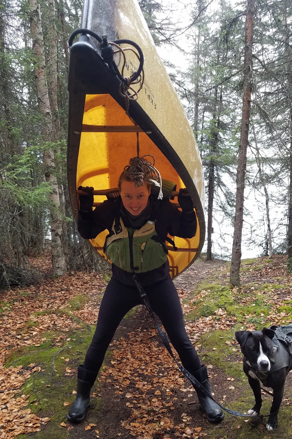 Team 1 — Homer Veterinary Clinic