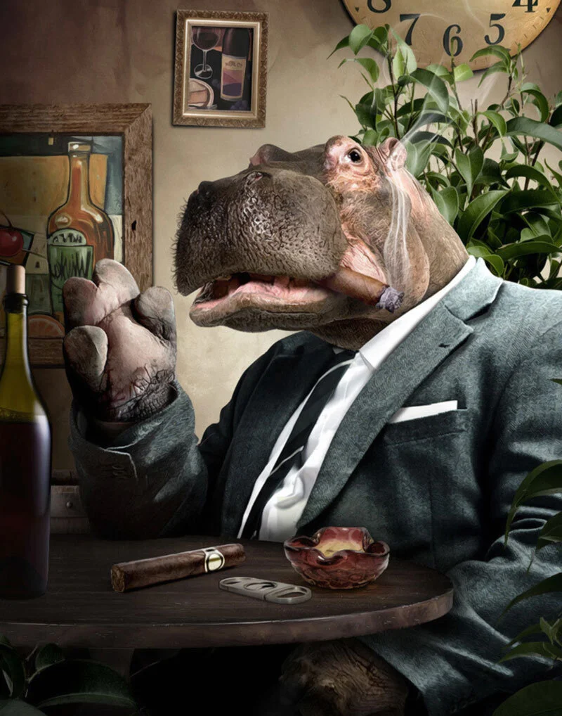 don-hippolito.jpg