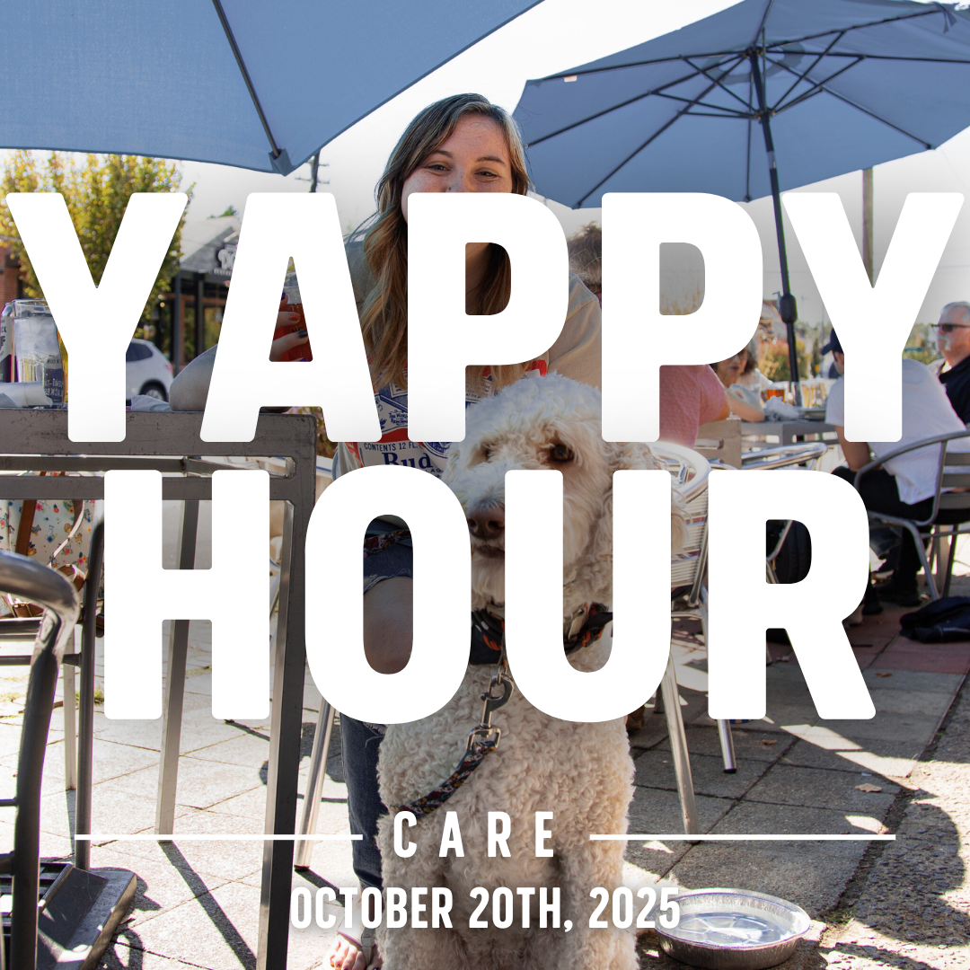 Yappy Hour | CARE