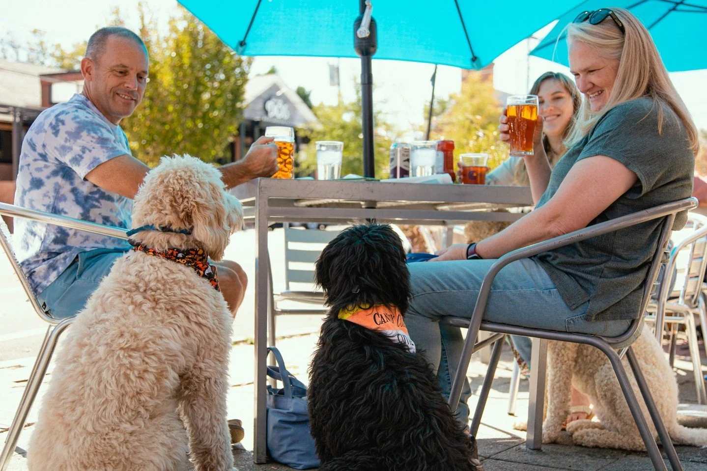 It's time for Halloween Yappy Hour!  Bring the family and your furry friends for a night out at Carolina Brewery in Pittsboro! 🐶
FYI: Your $10 donation will include 2 drink tickets and snacks. @chathamanimal will be joining us on the patio from 5pm