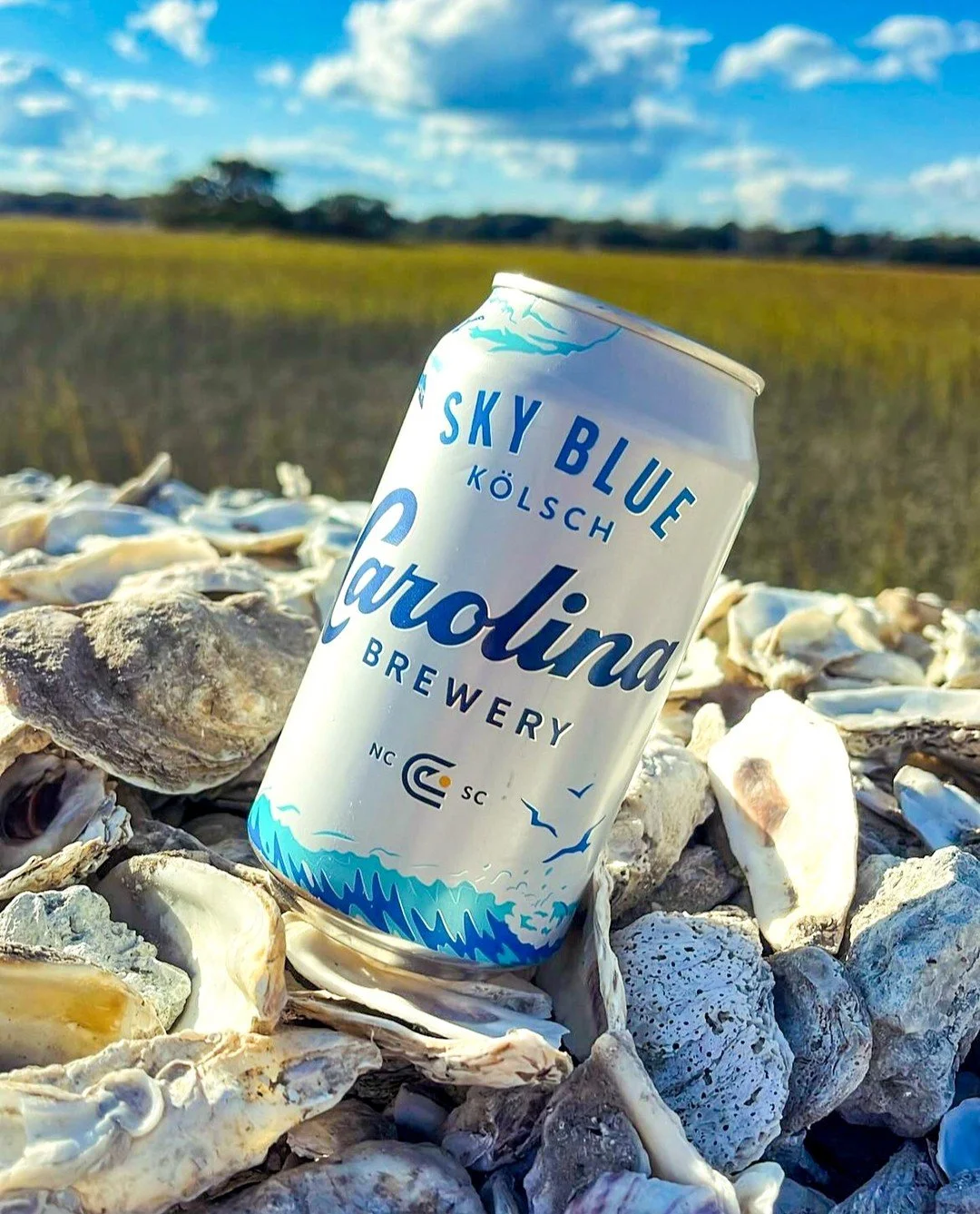 Oysters + Beer = Perfection
Our Charity Partners @nccoastalfed are working to restore wild oyster populations by recycling oyster shells and putting those shells back into the water. It’s a critical step in ensuring that North Carolina’s