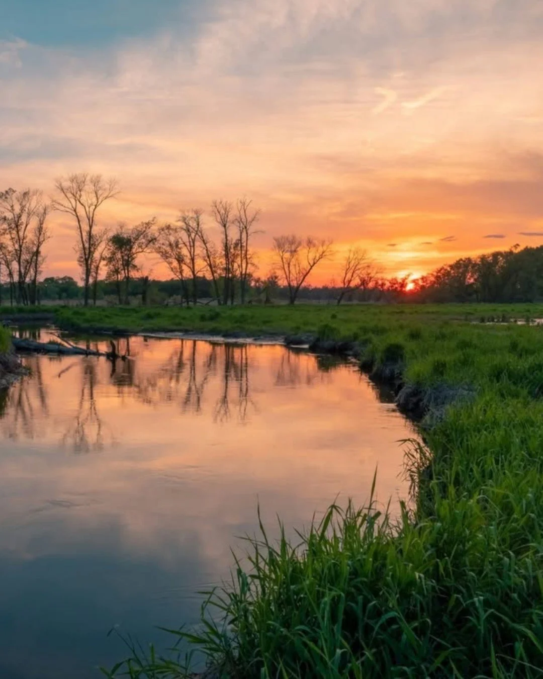 Charity Partner Spotlight: @nccoastalfed

Over the past 40 years, the North Carolina Coastal Federation has worked alongside coastal communities to protect and restore the unique North Carolina coast. As a member supported non-profit the Coastal Fede