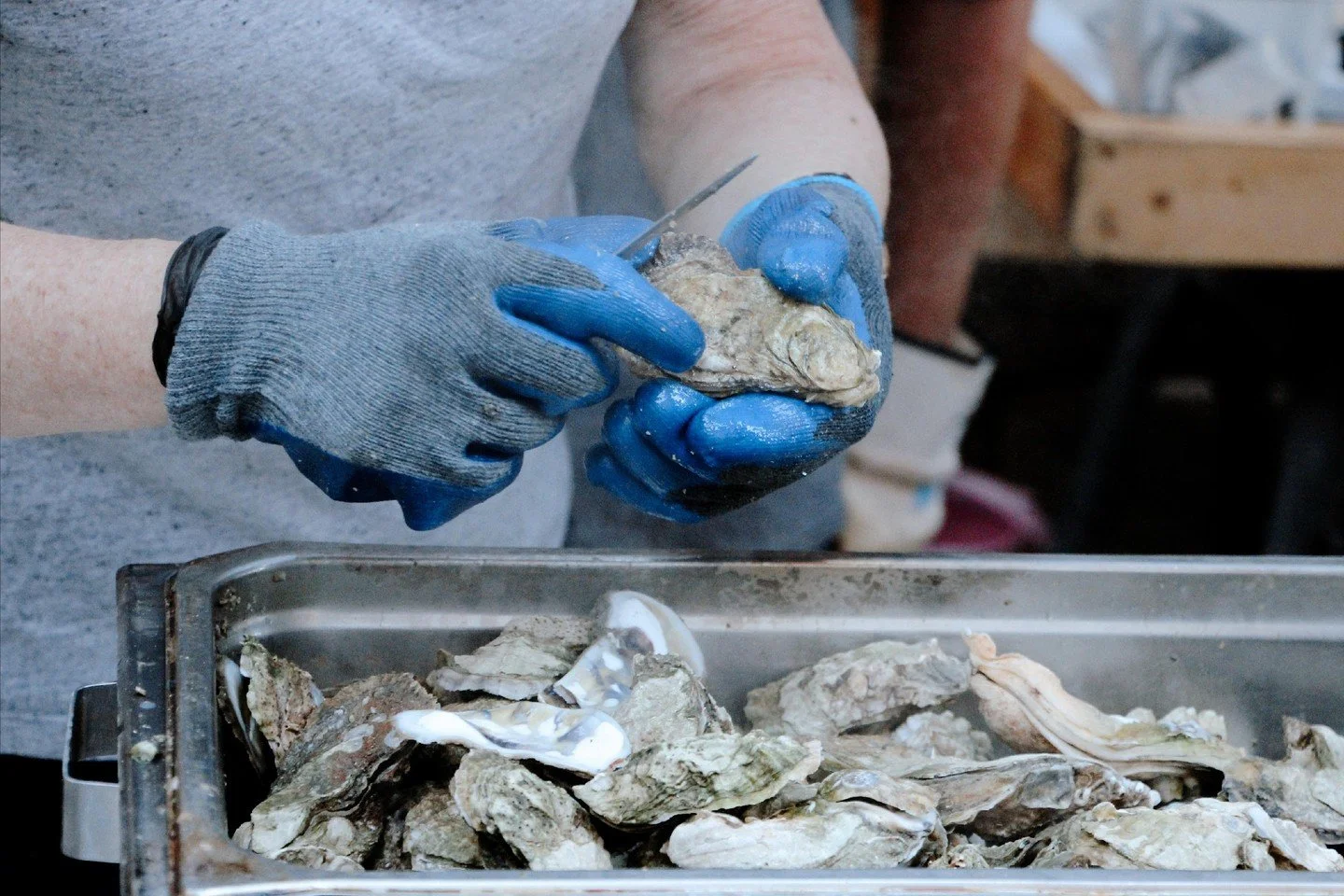 Who&rsquo;s ready for our 8th Annual Oyster Roast in Pittsboro today? 🦪

🎶 Live Music Schedule: The 8:59's | 12:30pm-3:00pm &amp; The Petty Thieves | 4:30pm-7:00pm

🦪 North Carolina Oysters: @ghost_fleet_oyster_co | Available Raw or Steamed by the