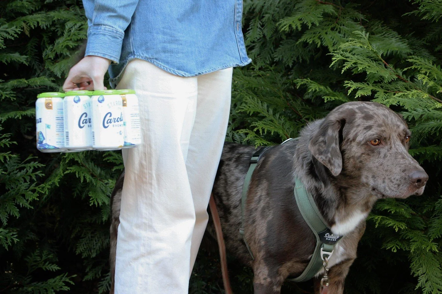 Headed on your next Carolina Adventure?

Don't forget the essentials- a 6-pack of your favorite beer!

Pick up a 6-pack of Stargazer at your local @harristeeter or @lowesfoods.
.
.
.
Who's In?
.
.
.
#beer #craftbeer #ncbeer #brewery #drinklocal #nort