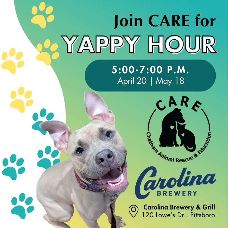 Yappy Hour