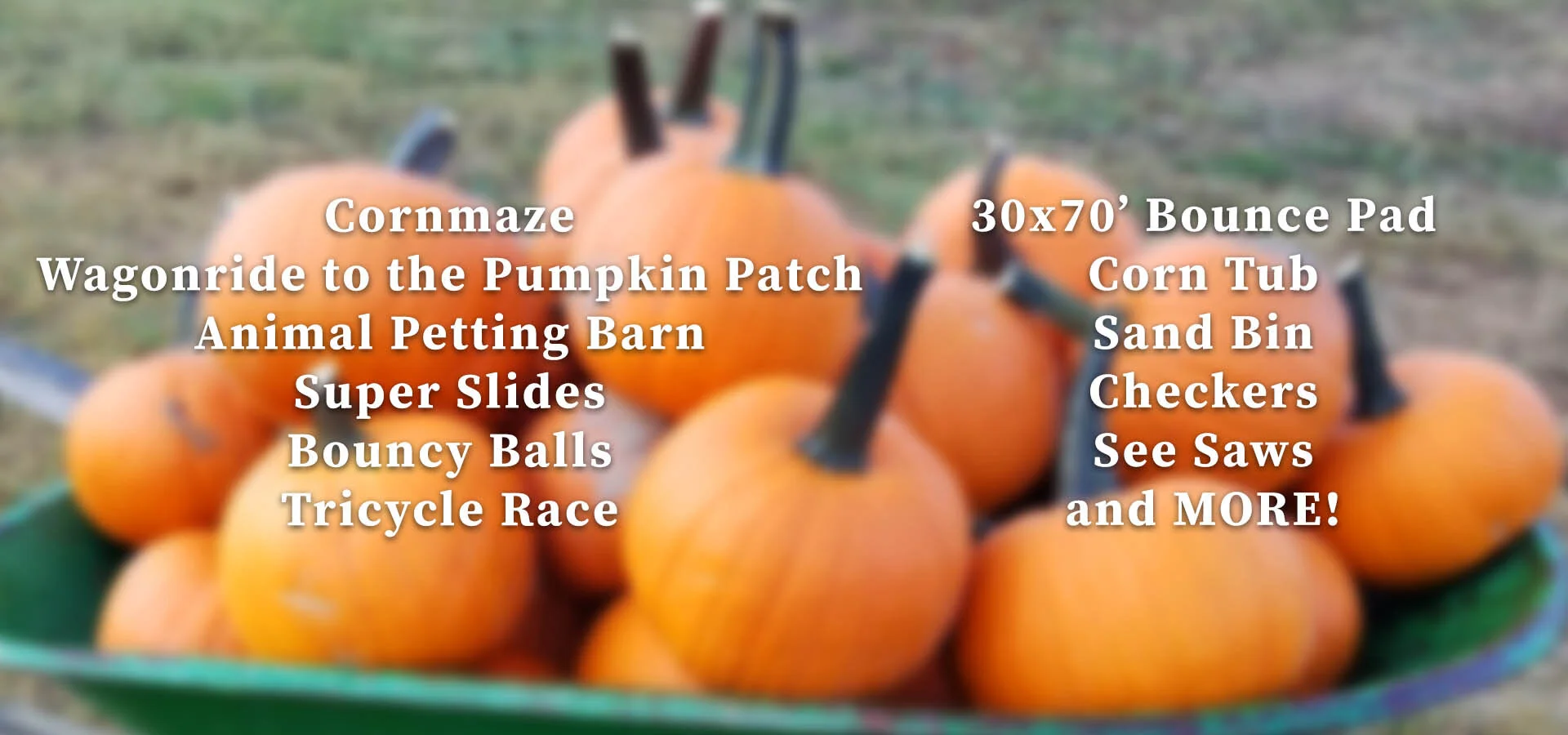 Guthrie Pumpkin Farms & Corn Maze