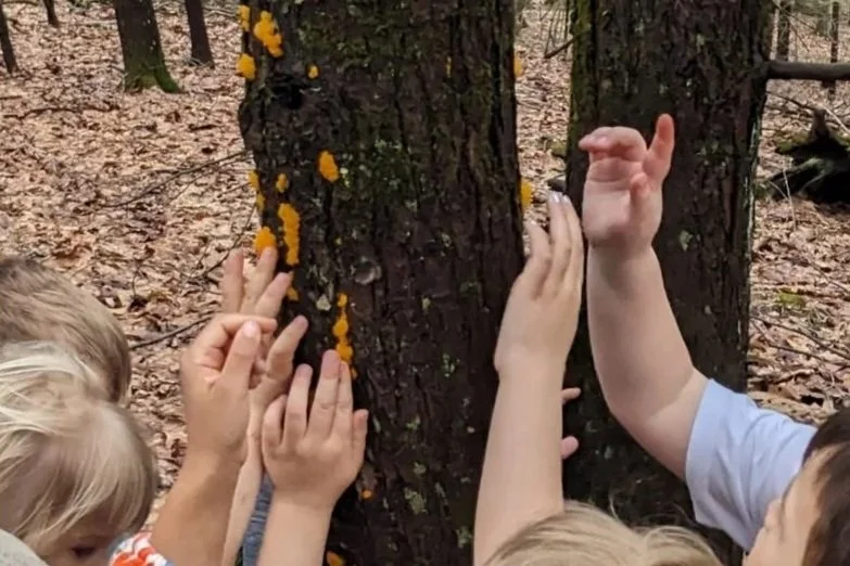 Hands On, Brains On! 