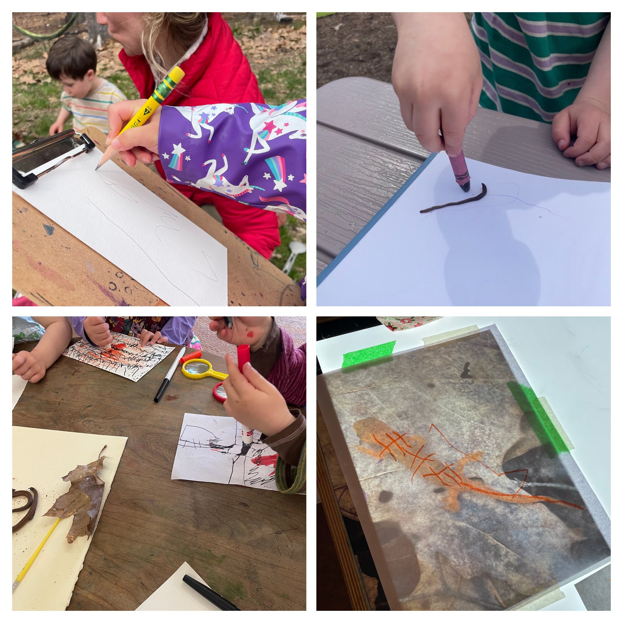 IMG_2209-COLLAGE.jpg