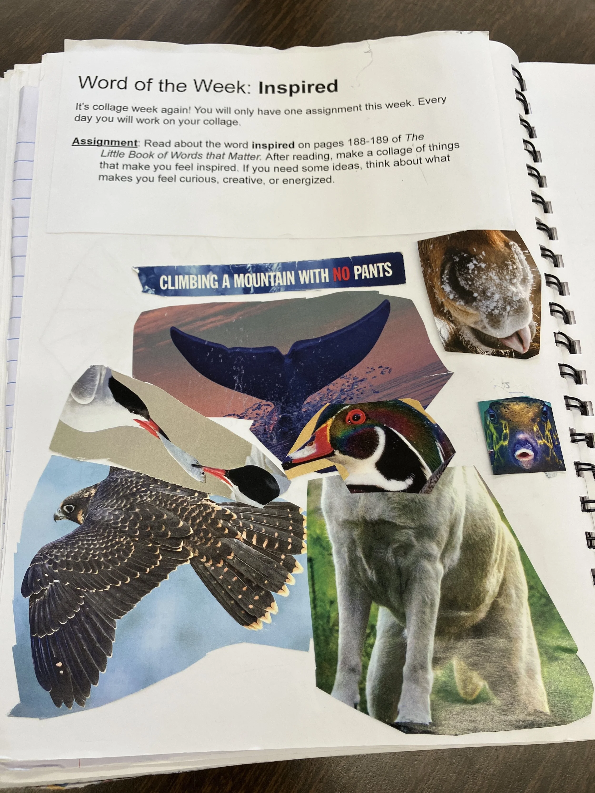 Inspired - collage.JPG