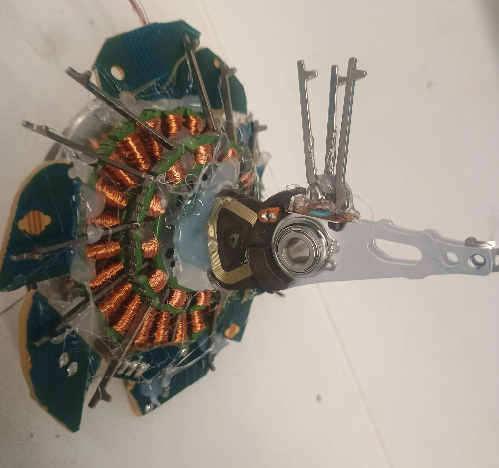 image (7).jpeg