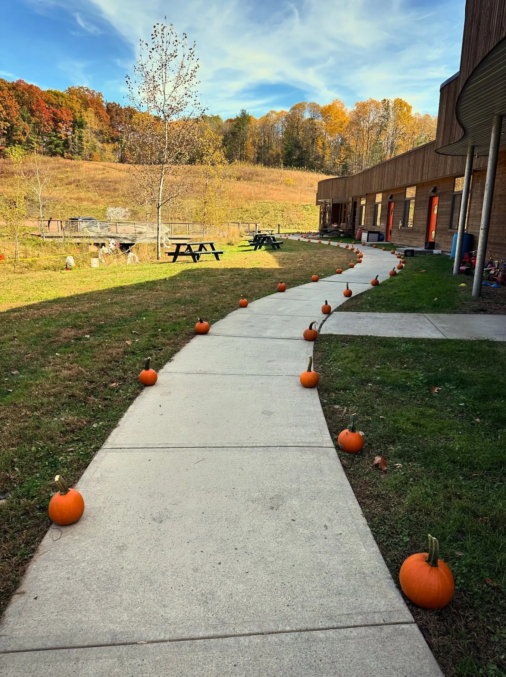 How many pumpkins does it take to make a pumpkin path?? 🎃🍂 A whole lot!! Huge thank you to Patterson Farm for their incredible pumpkin donation! We are so excited to see everyone tomorrow for our Spooky Sprint (for Center School Families) and our T