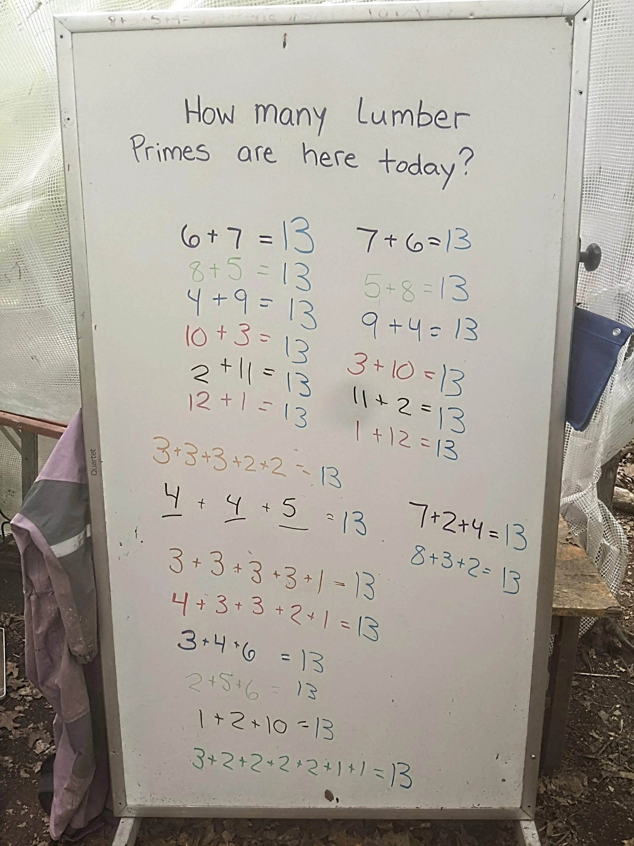 Math Integration in the Forest (K/1) — The Center School
