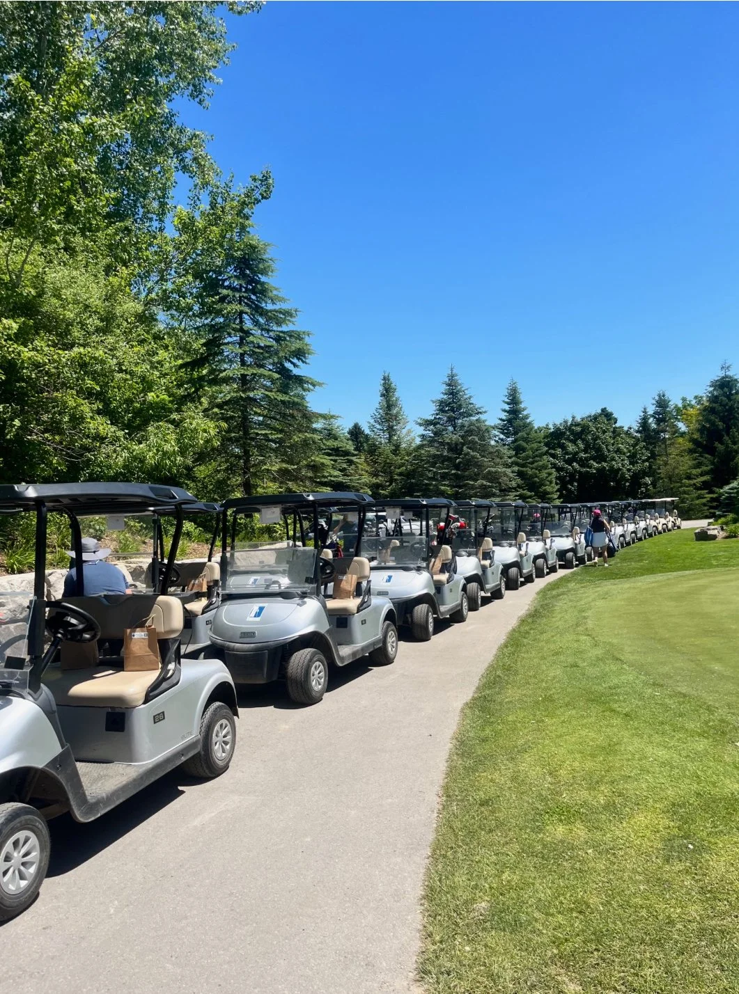 image of golf cart at golf course