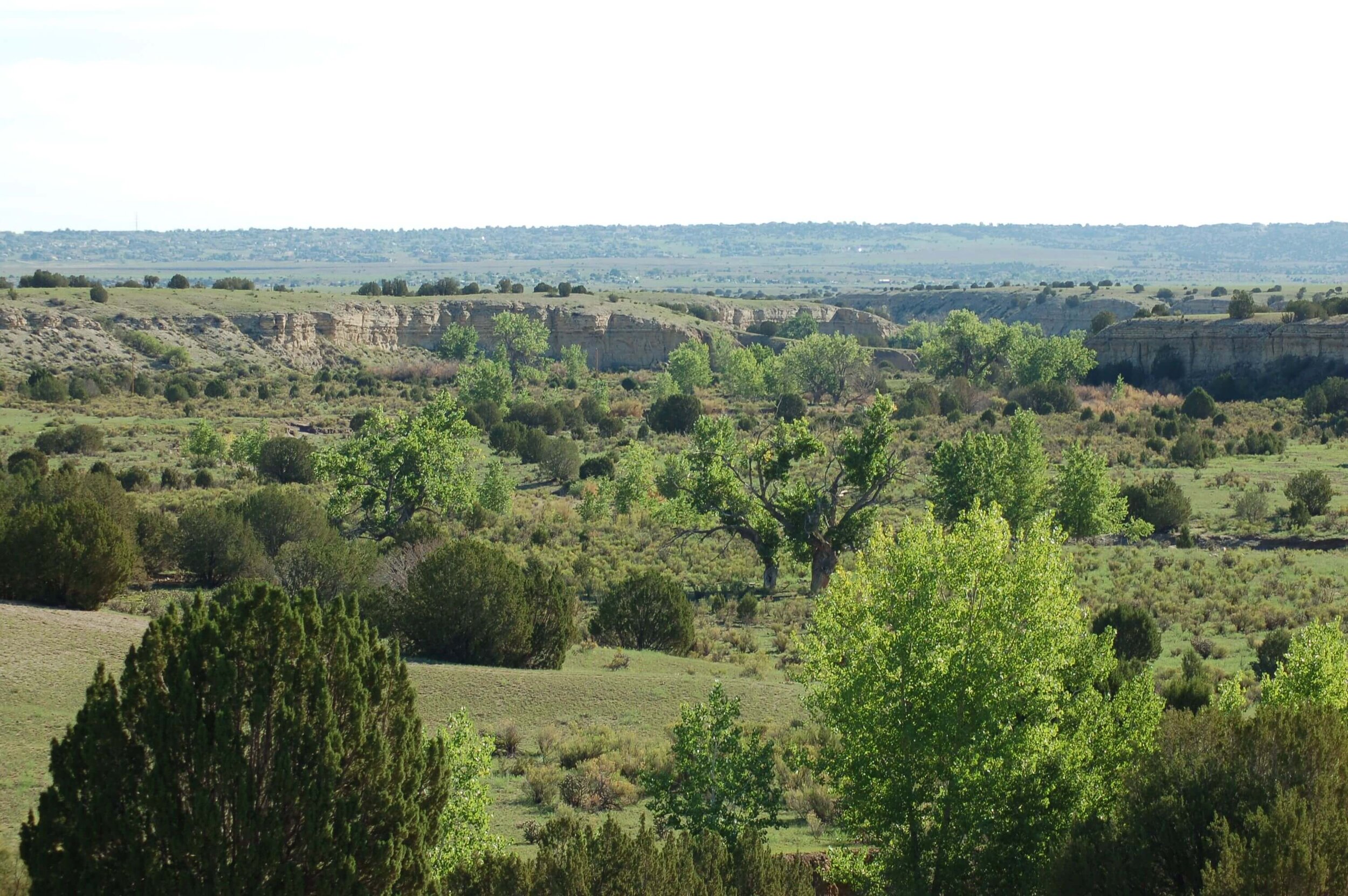 Tatsch_Ranch_5.jpeg