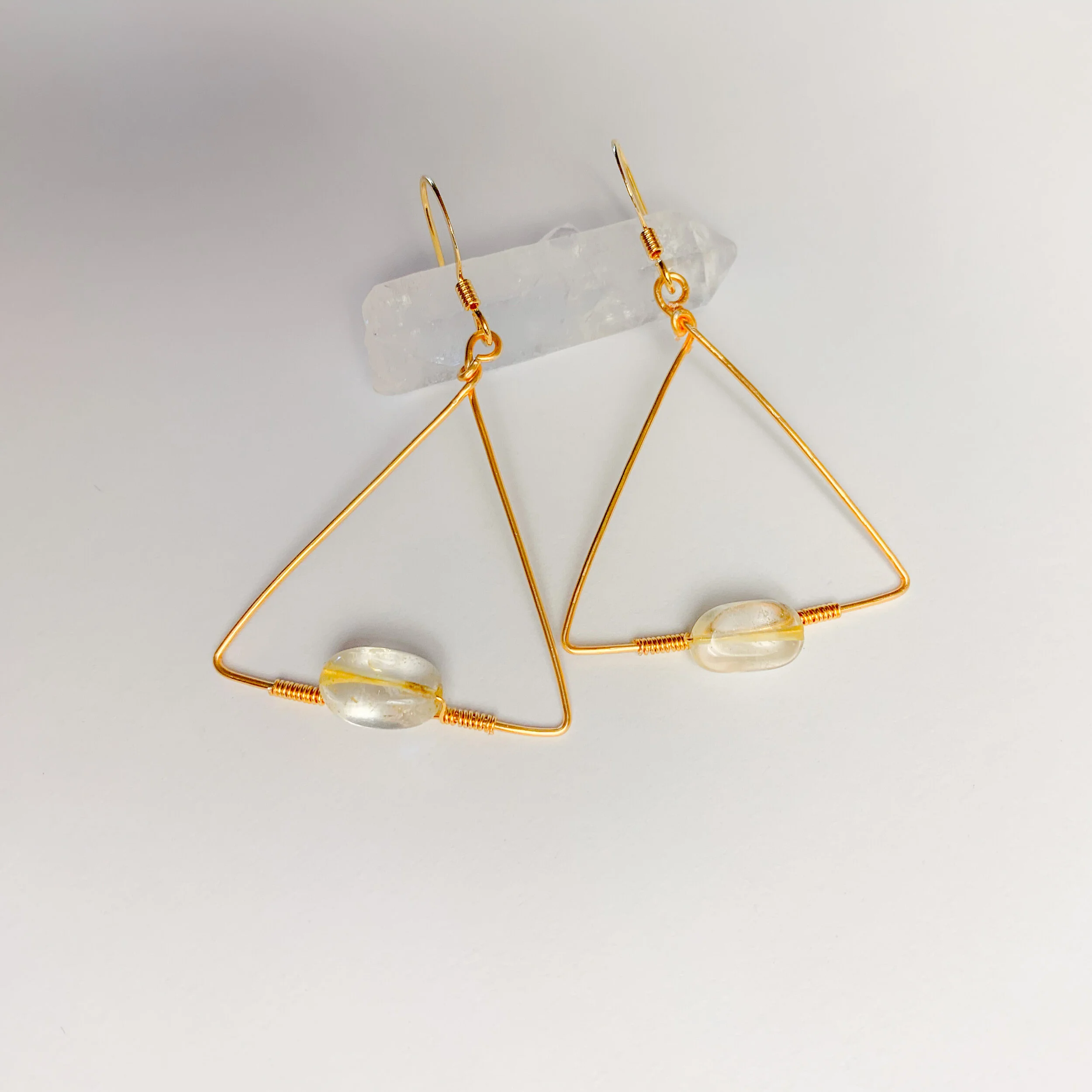 Focus Dangle Earrings