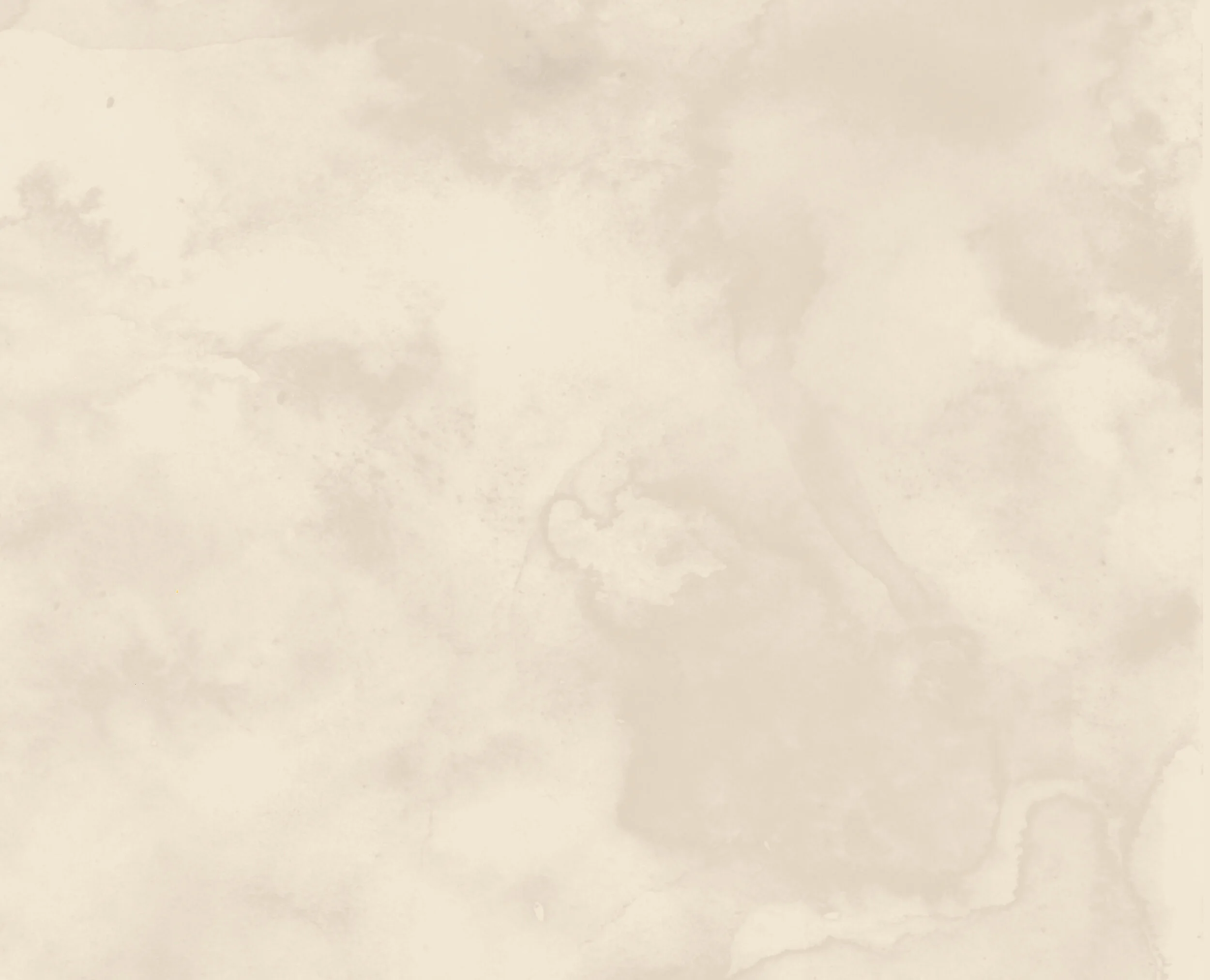 Plan de travail 1_2.jpeg