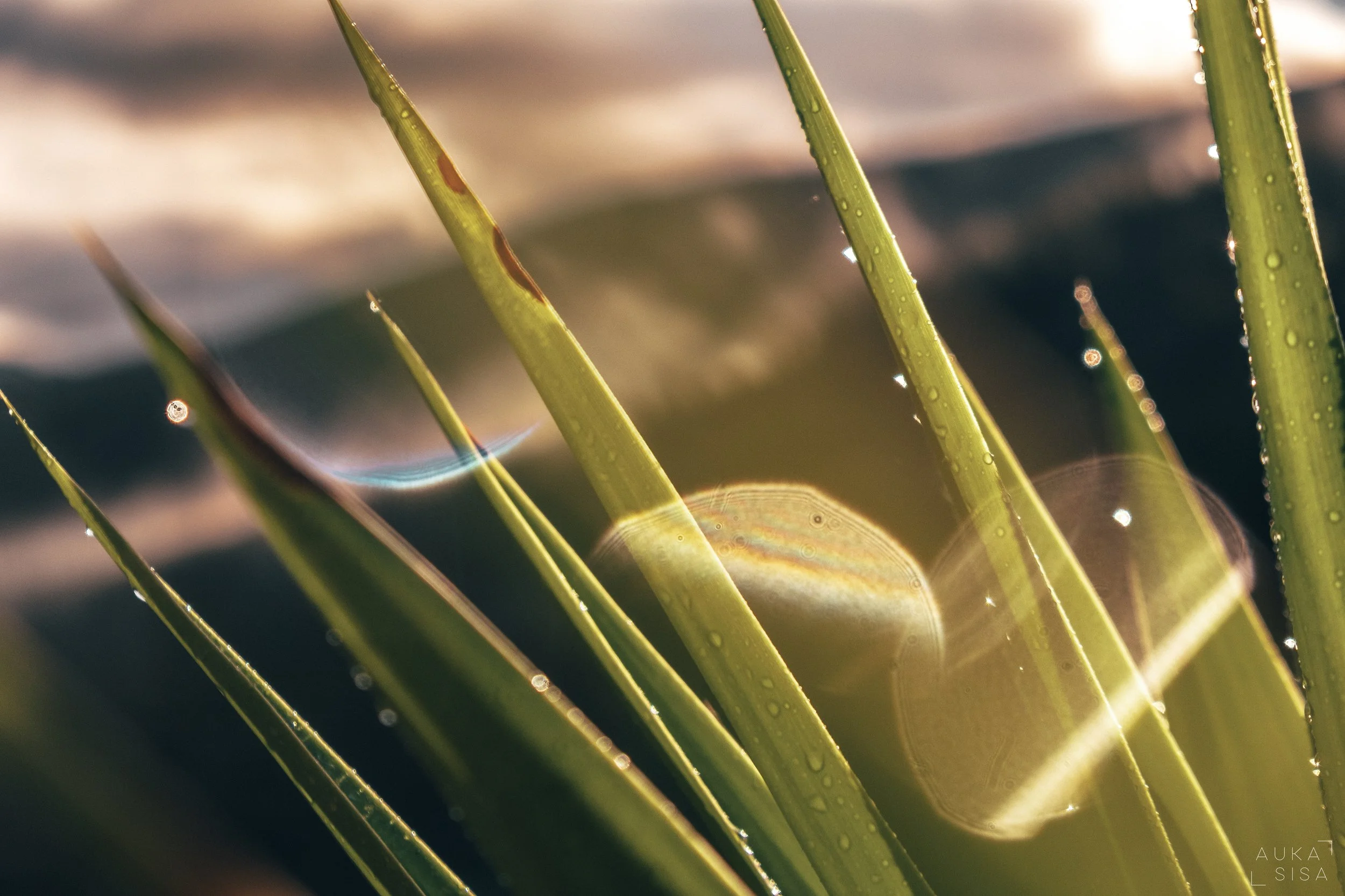 KB Pantam Res sept2022 by Auka48.jpeg