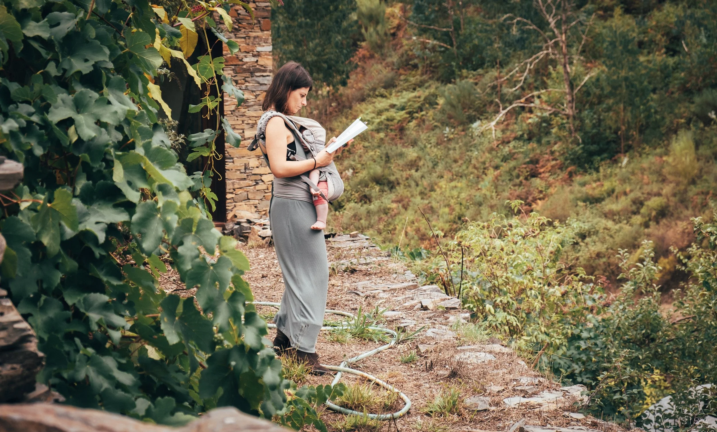 KB Pantam Res sept2022 by Auka106.jpeg