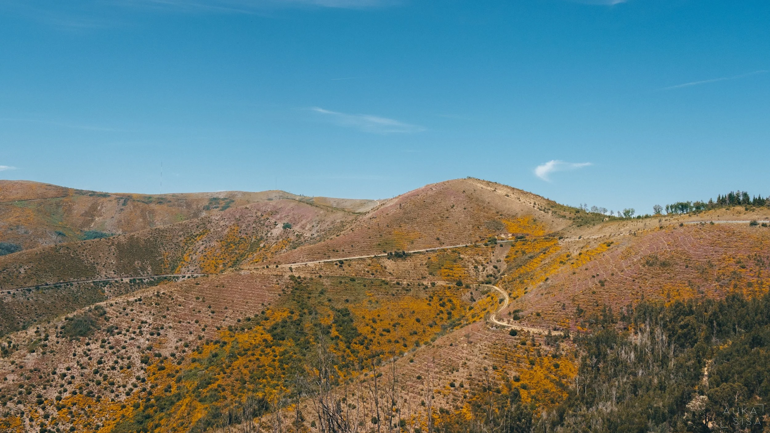 22 KB Res2 Loural22 by Auka77.jpeg