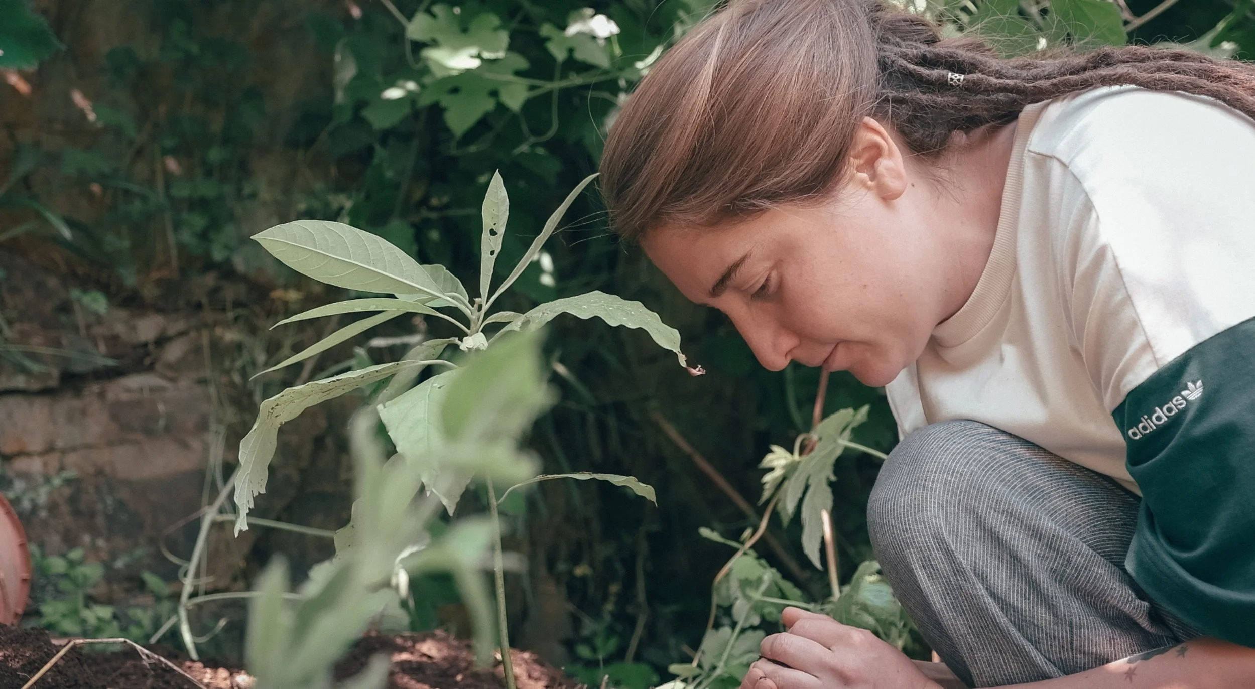 Capture d’écran 2024-06-18 à 19.54.00.jpeg