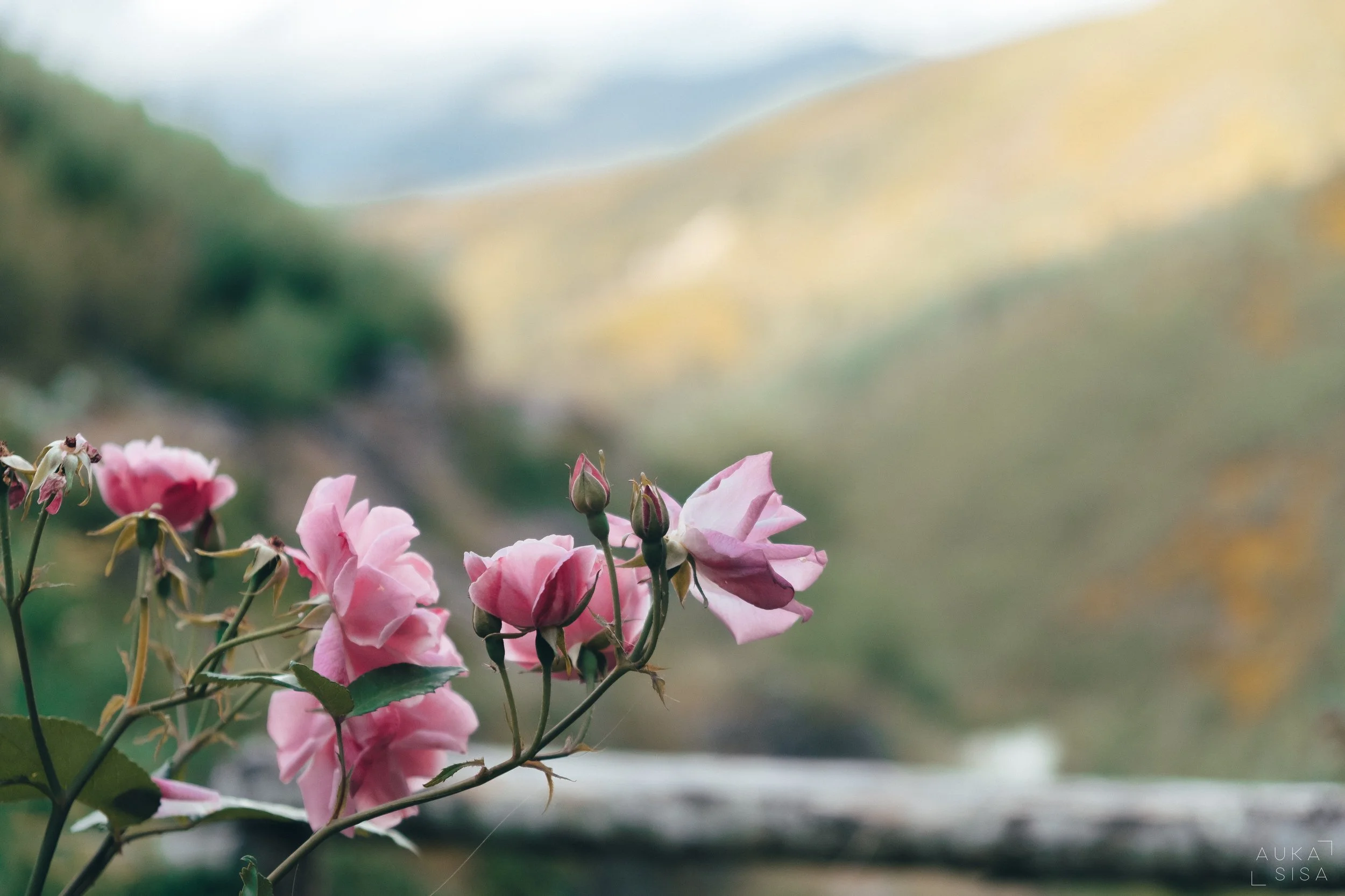 06 KB Res2 Loural22 by Auka290.jpeg