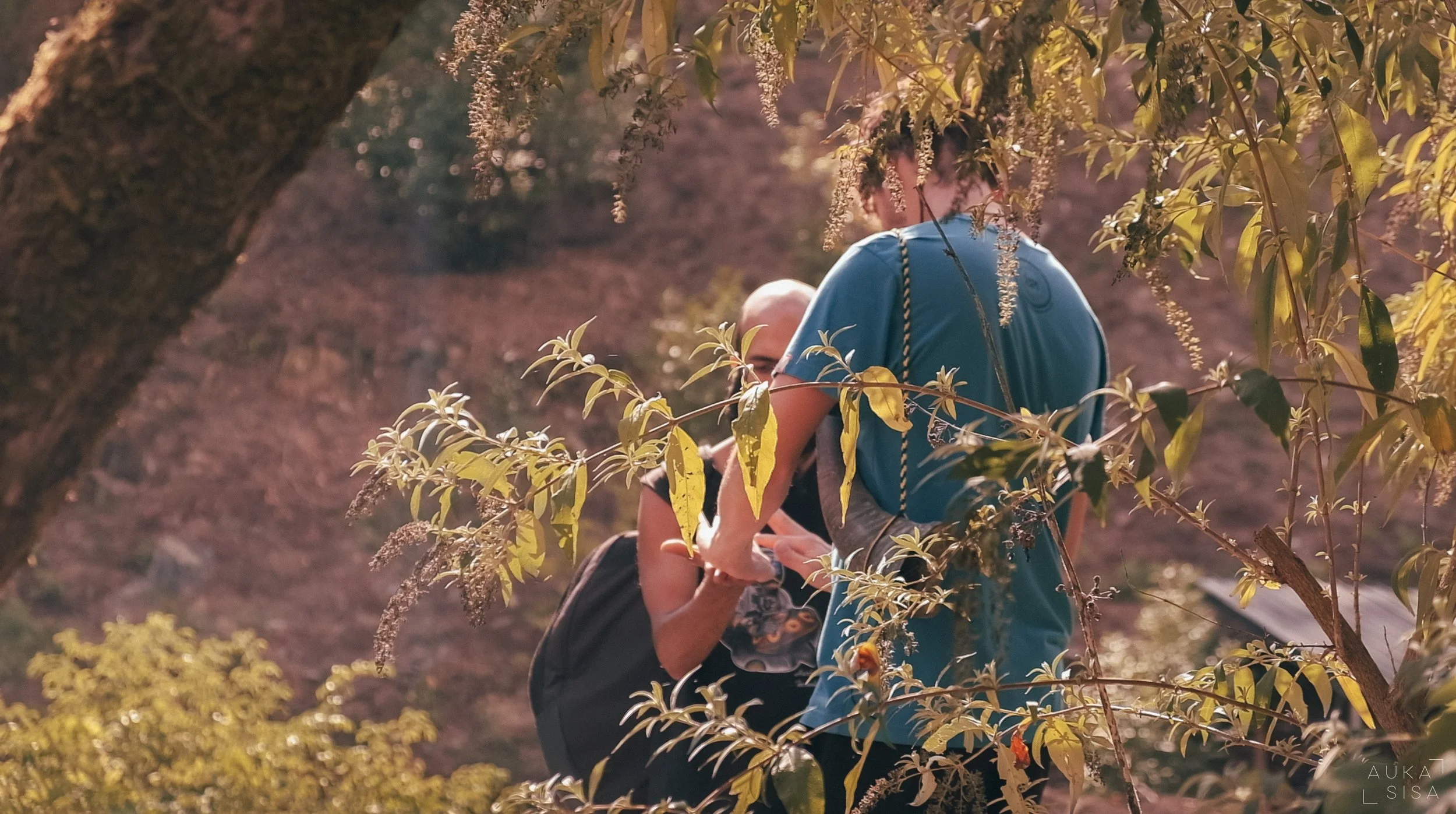 KB Pantam Res sept2022 by Auka23.jpeg