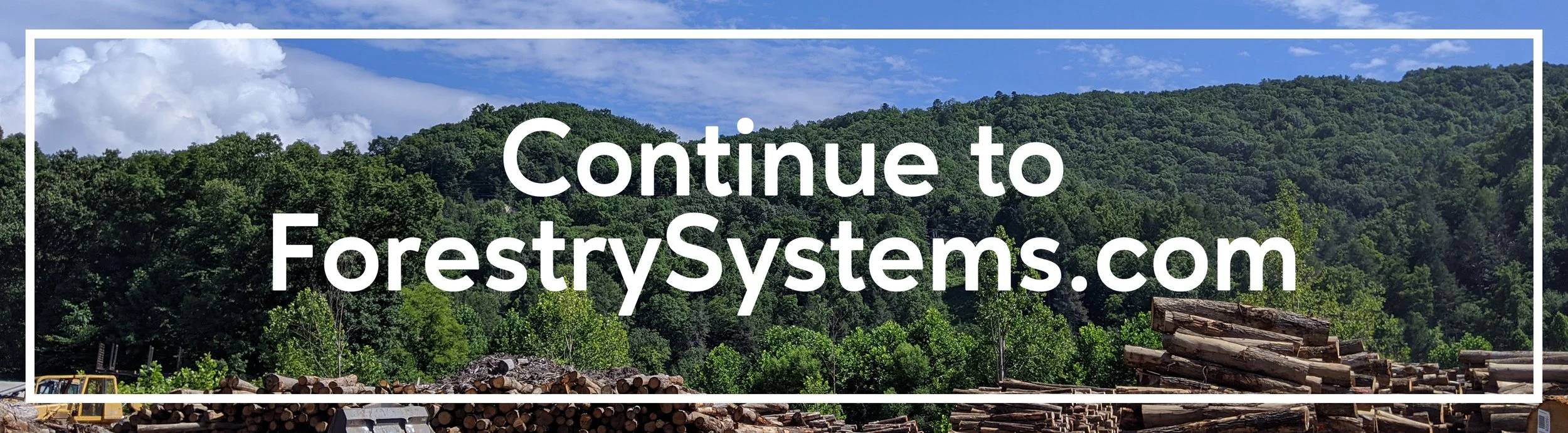 Forestry Systems Inc