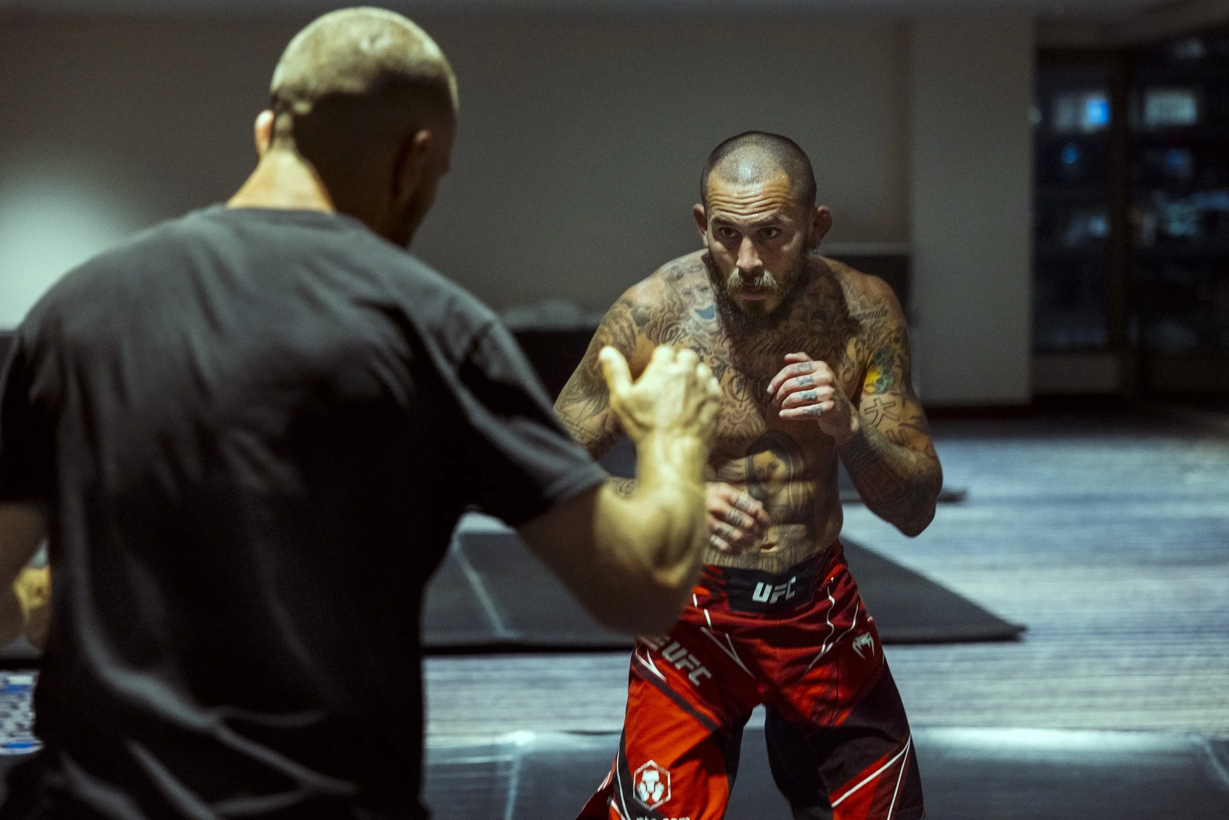 Chito • UFC Fight Night